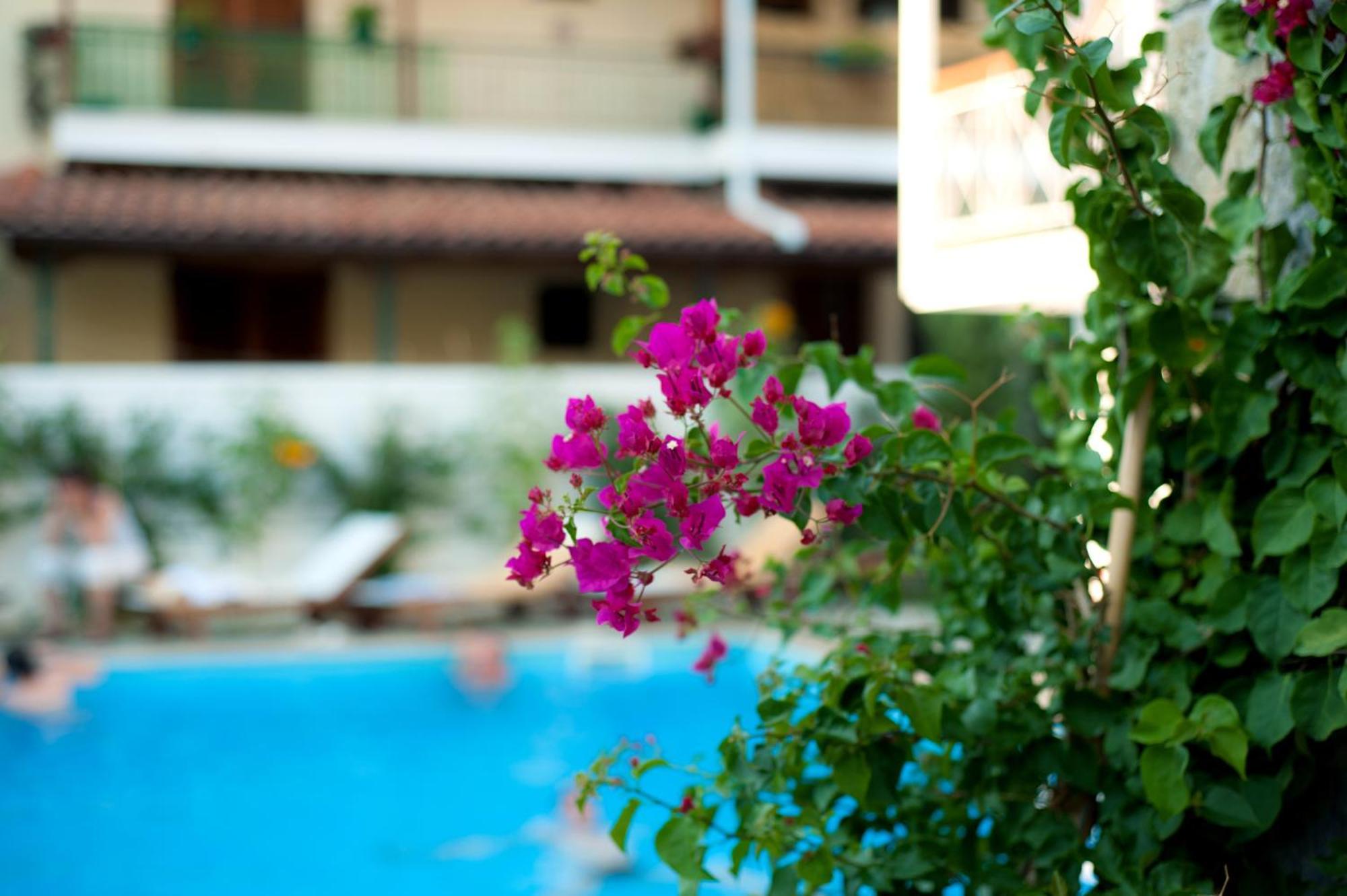 Neda Hotel Ancient Olympia Zewnętrze zdjęcie